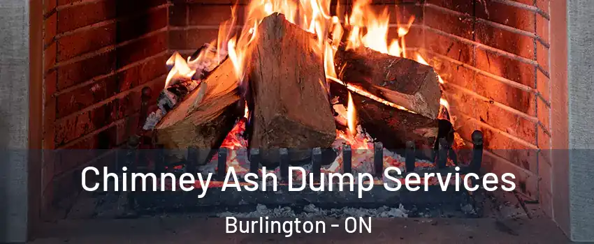  Chimney Ash Dump Services Burlington - ON