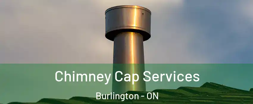  Chimney Cap Services Burlington - ON