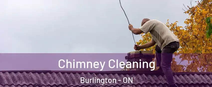  Chimney Cleaning Burlington - ON