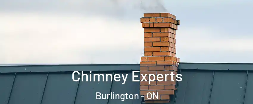 Chimney Experts Burlington - ON