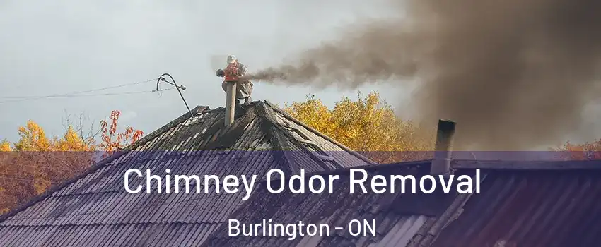  Chimney Odor Removal Burlington - ON