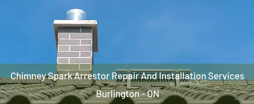  Chimney Spark Arrestor Repair And Installation Services Burlington - ON