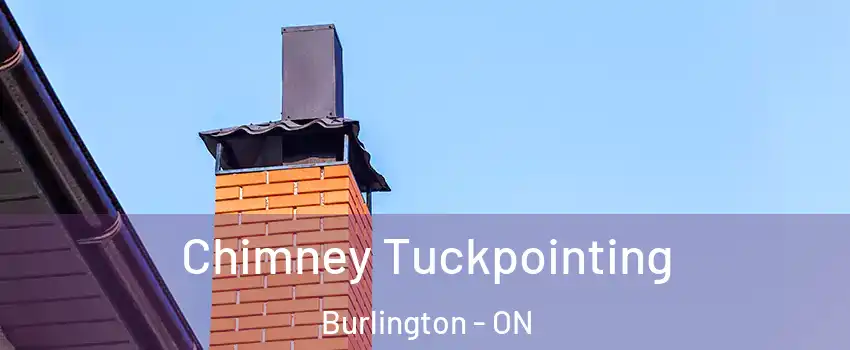  Chimney Tuckpointing Burlington - ON