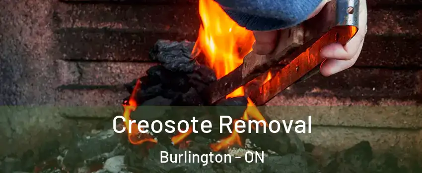  Creosote Removal Burlington - ON