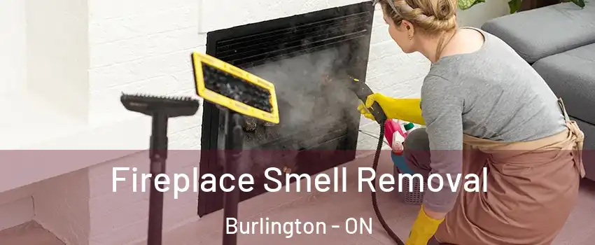  Fireplace Smell Removal Burlington - ON
