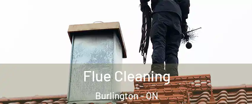  Flue Cleaning Burlington - ON