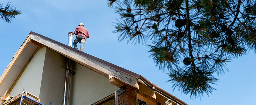 Birds Removal Contractors from Chimney in Burlington, ON