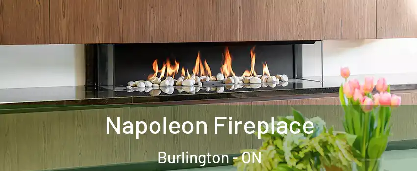  Napoleon Fireplace Burlington - ON